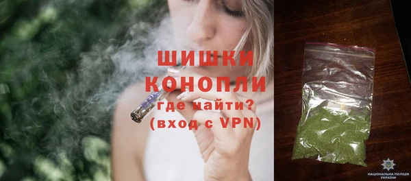 ГАЛЛЮЦИНОГЕННЫЕ ГРИБЫ Михайлов