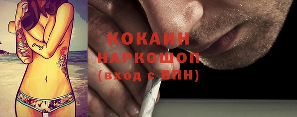 ГАЛЛЮЦИНОГЕННЫЕ ГРИБЫ Михайлов