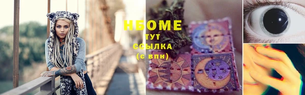 ГАЛЛЮЦИНОГЕННЫЕ ГРИБЫ Михайлов