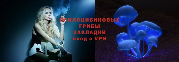 спиды Михайловск