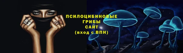 ГАЛЛЮЦИНОГЕННЫЕ ГРИБЫ Михайлов