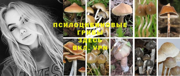 спиды Михайловск