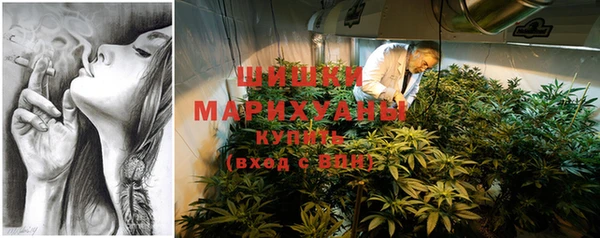PSILOCYBIN Ветлуга