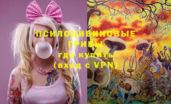 спиды Михайловск