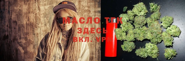 ГАЛЛЮЦИНОГЕННЫЕ ГРИБЫ Михайлов