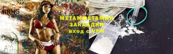 ГАЛЛЮЦИНОГЕННЫЕ ГРИБЫ Михайлов