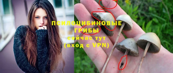 спиды Михайловск